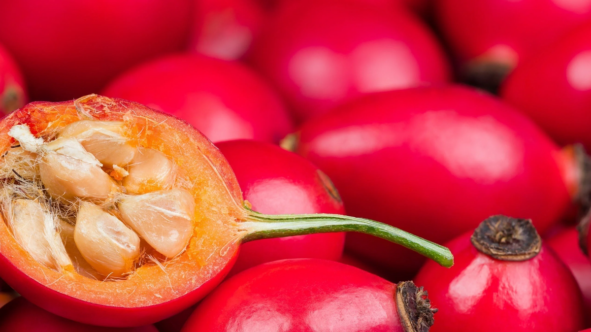 The Intelligent Beauty of Rosehip