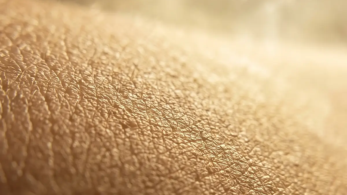 Qu'est-ce que le microbiome cutané ?