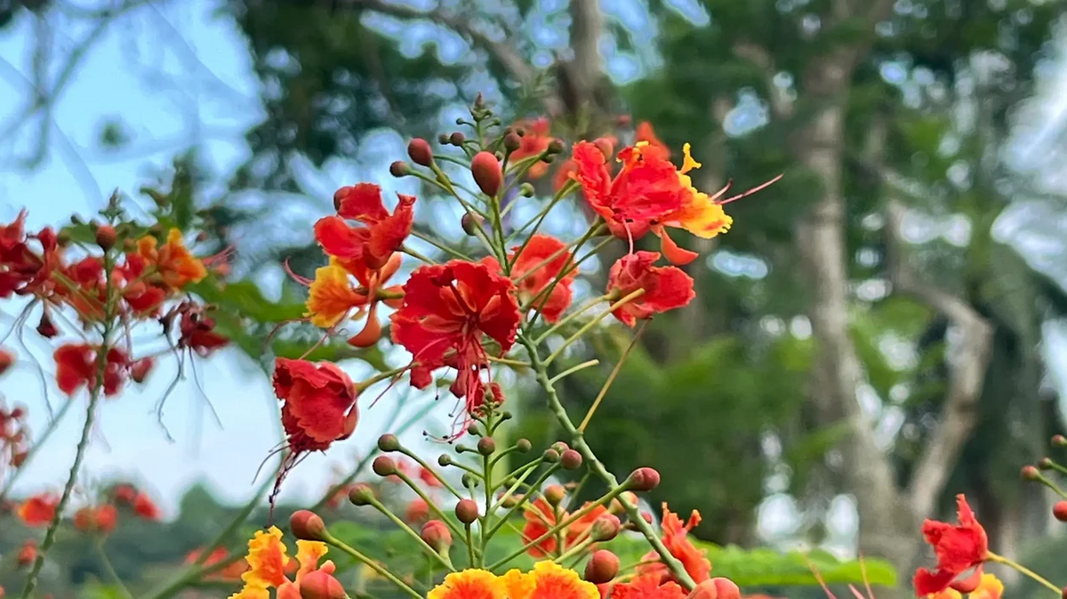 Living in Tune with the Seasons
