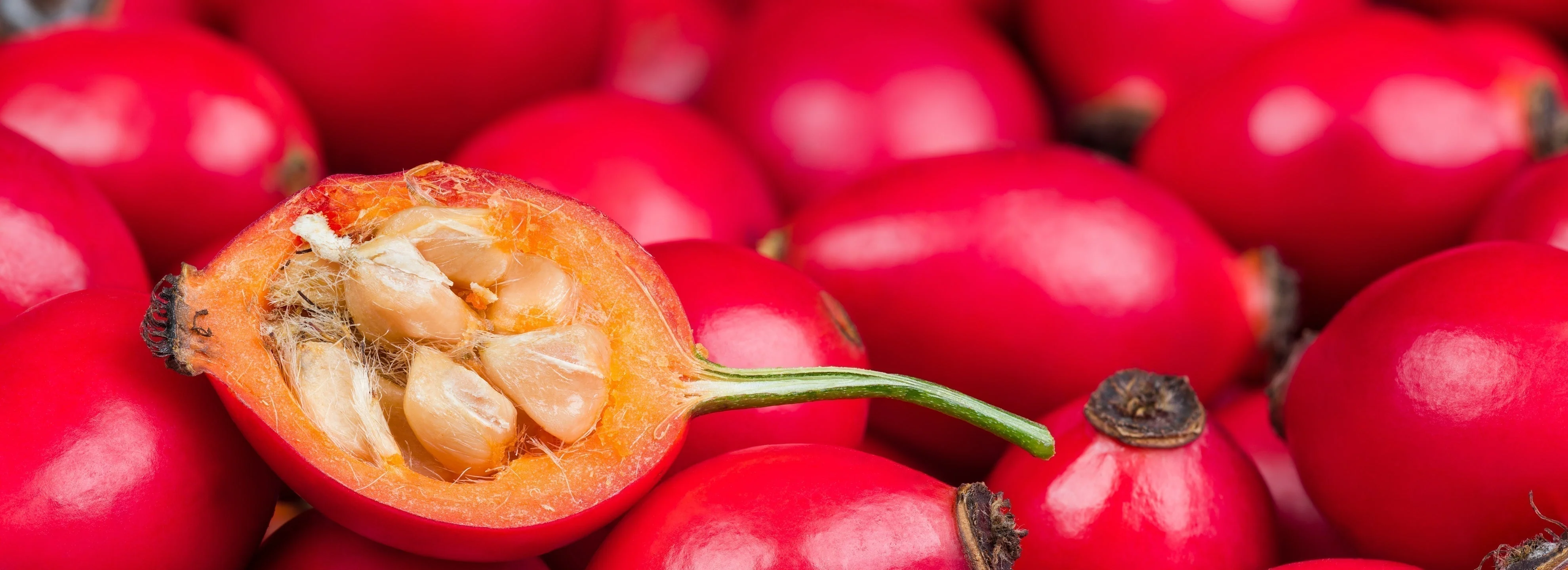 The Intelligent Beauty of Rosehip