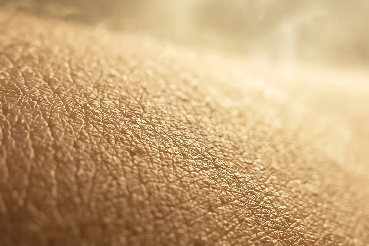 Qu'est-ce que le microbiome cutané ?