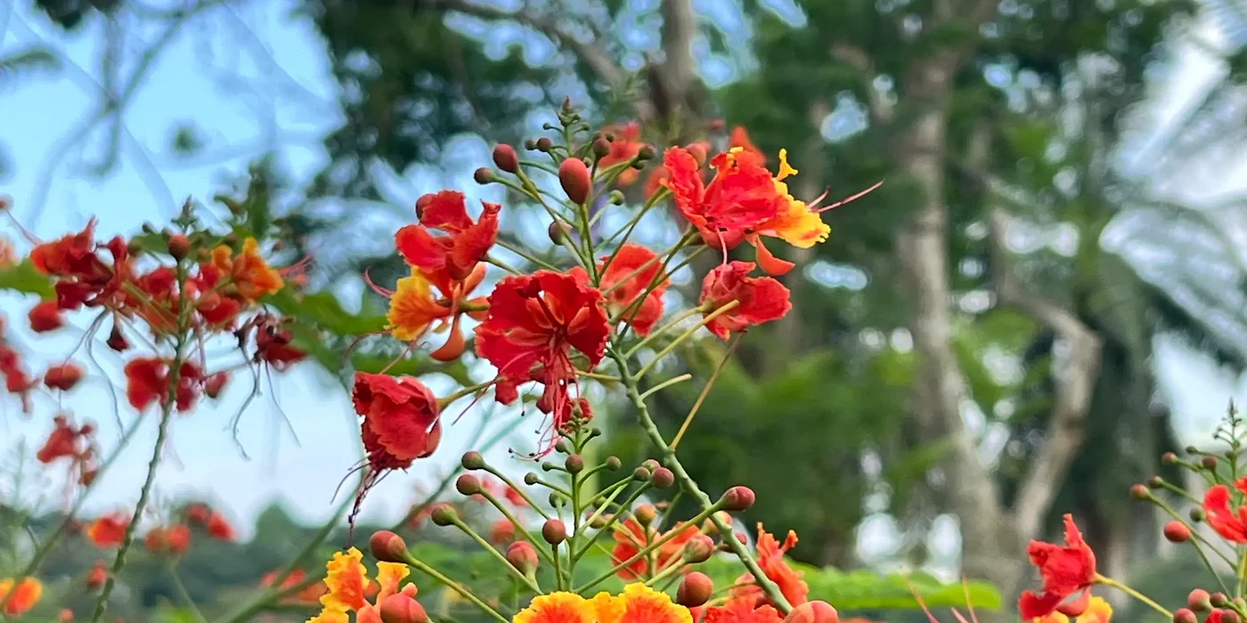 Living in Tune with the Seasons